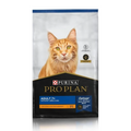 Pro plan cat +7