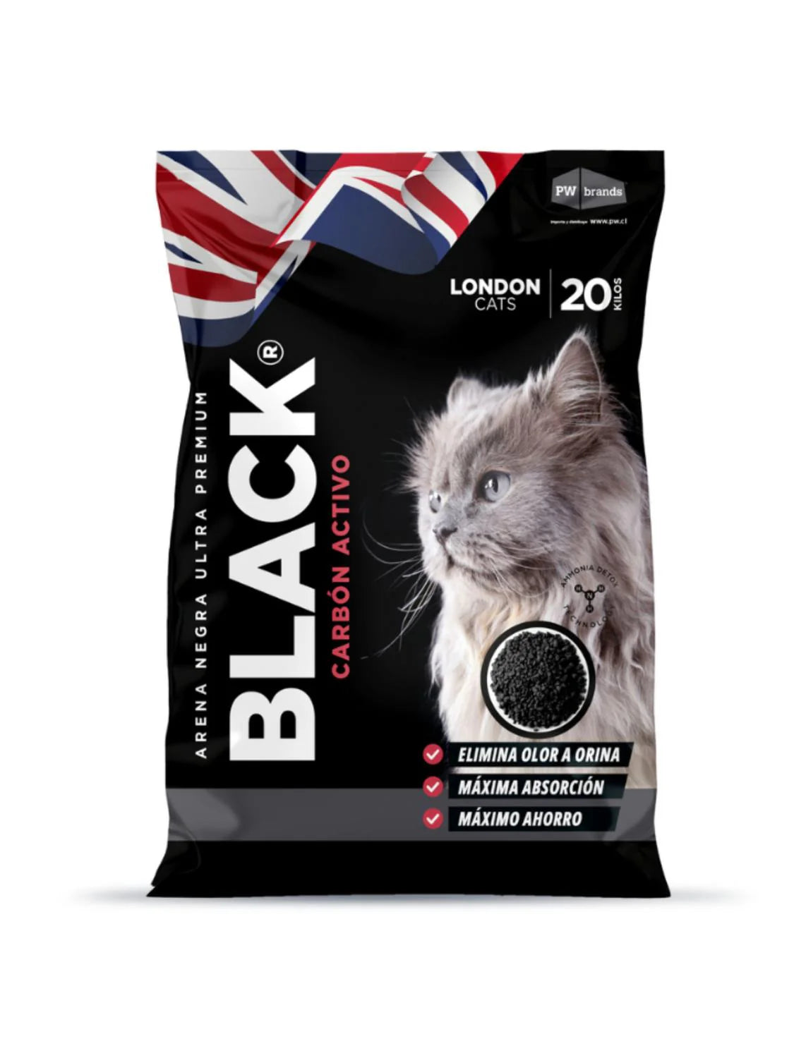 LONDON CATS BLACK ARENA CON CARCONITA