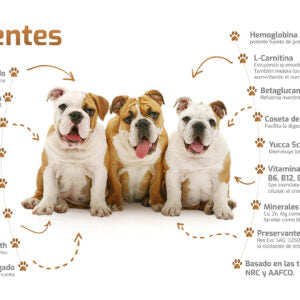 Bokato Cachorro