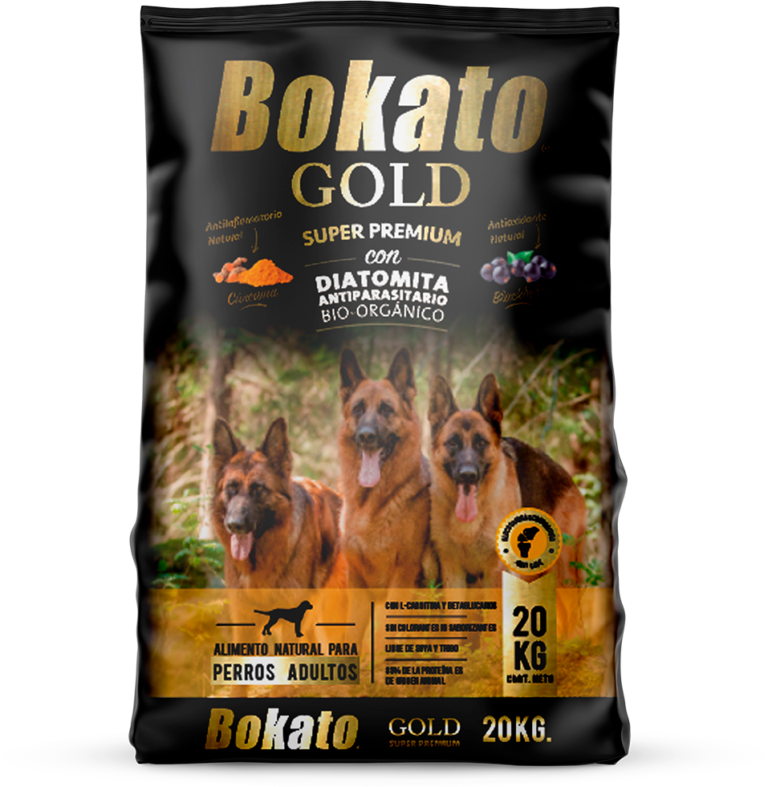 Bokato Gold Adulto