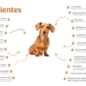 Bokato Petit Razas Pequeñas
