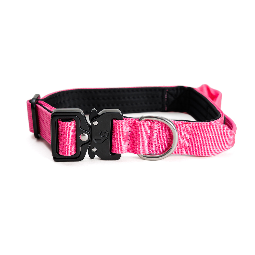 Collar Combat 2.5 cm Pink