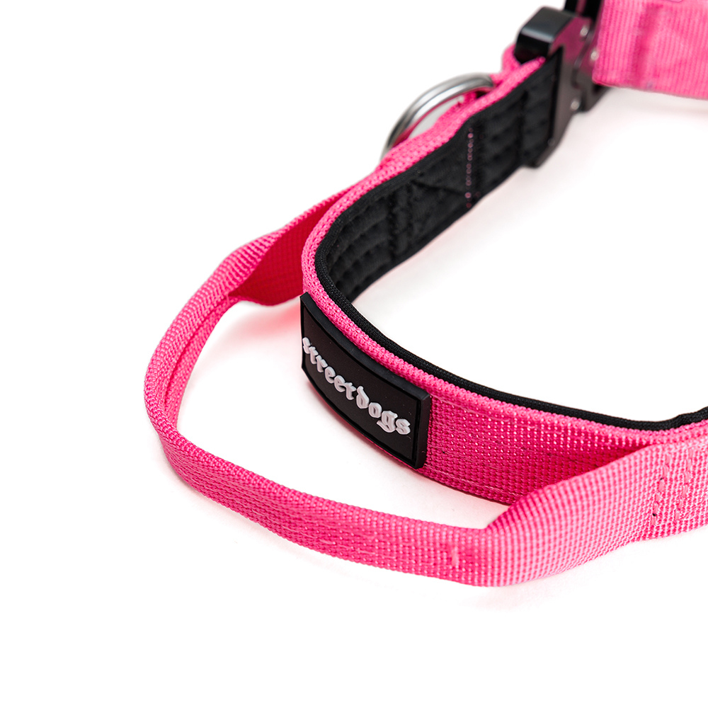 Collar Combat 2.5 cm Pink