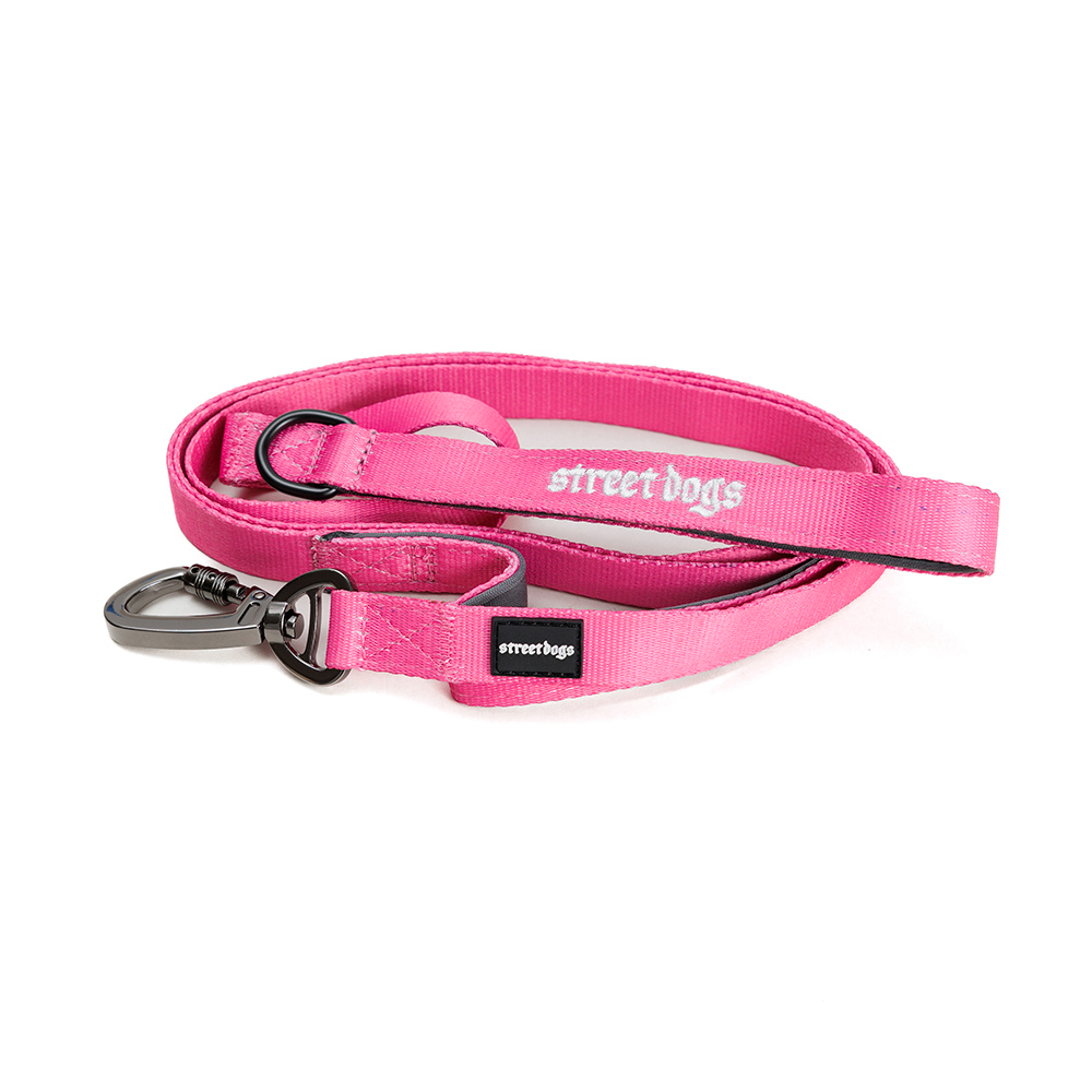 Correa Larga de Adiestramiento para Perros | Pink