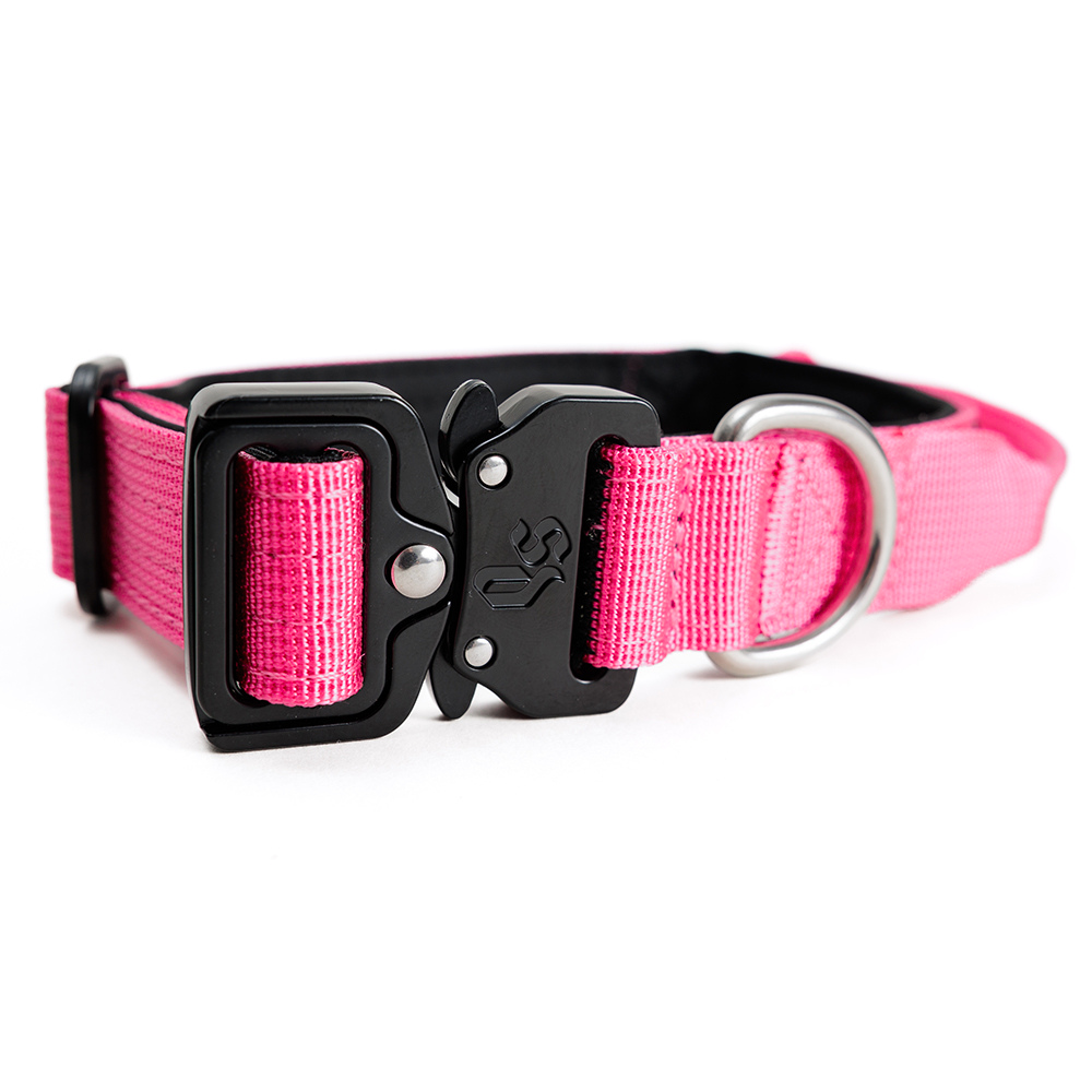 Collar Combat 2.5 cm Pink