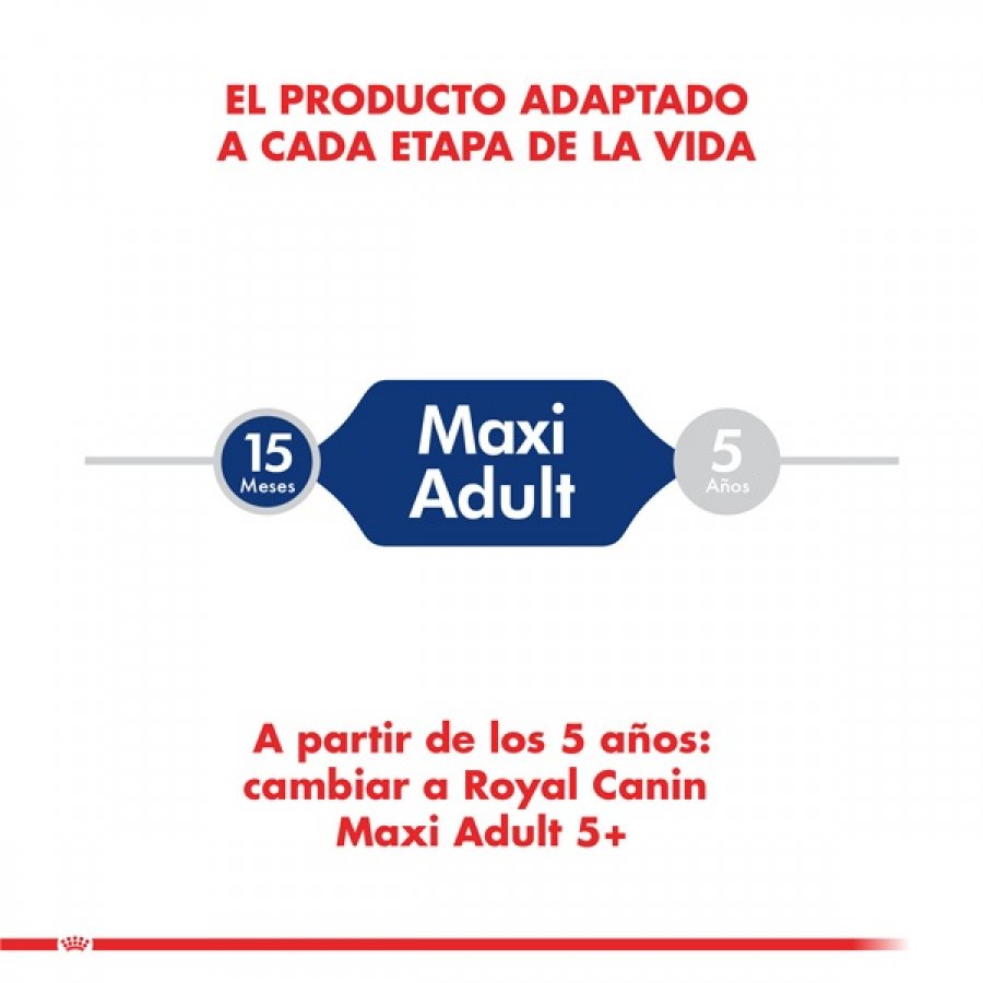 Royal Canin Maxi Adult