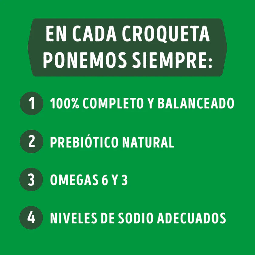 Purina Dog Chow Adultos Carne y Pollo