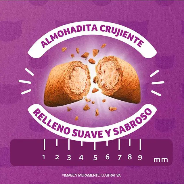 Whiskas - Alimento Seco Gato Adulto Sabor Carne