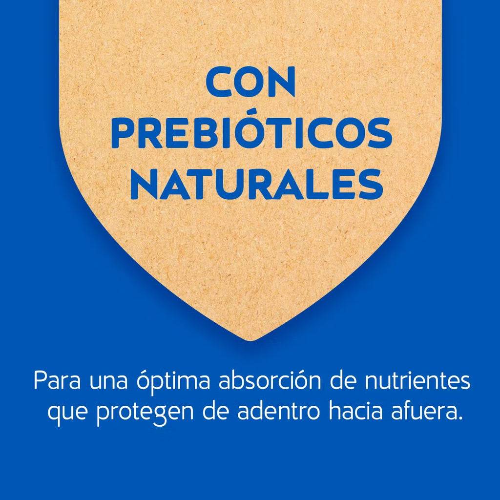 CAT CHOW® Adultos Delicias sabor Pescado Defense Plus