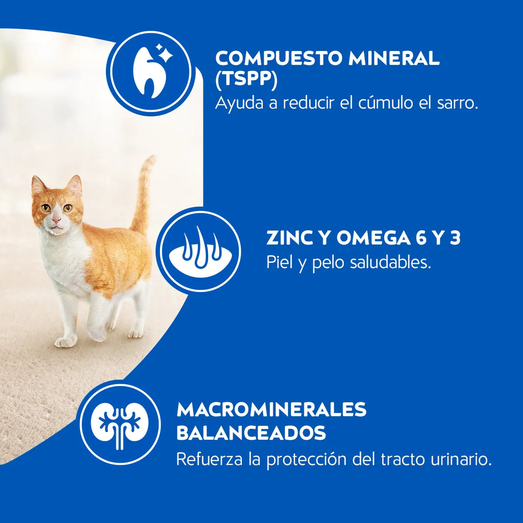 CAT CHOW® Adultos Delicias sabor Pescado Defense Plus