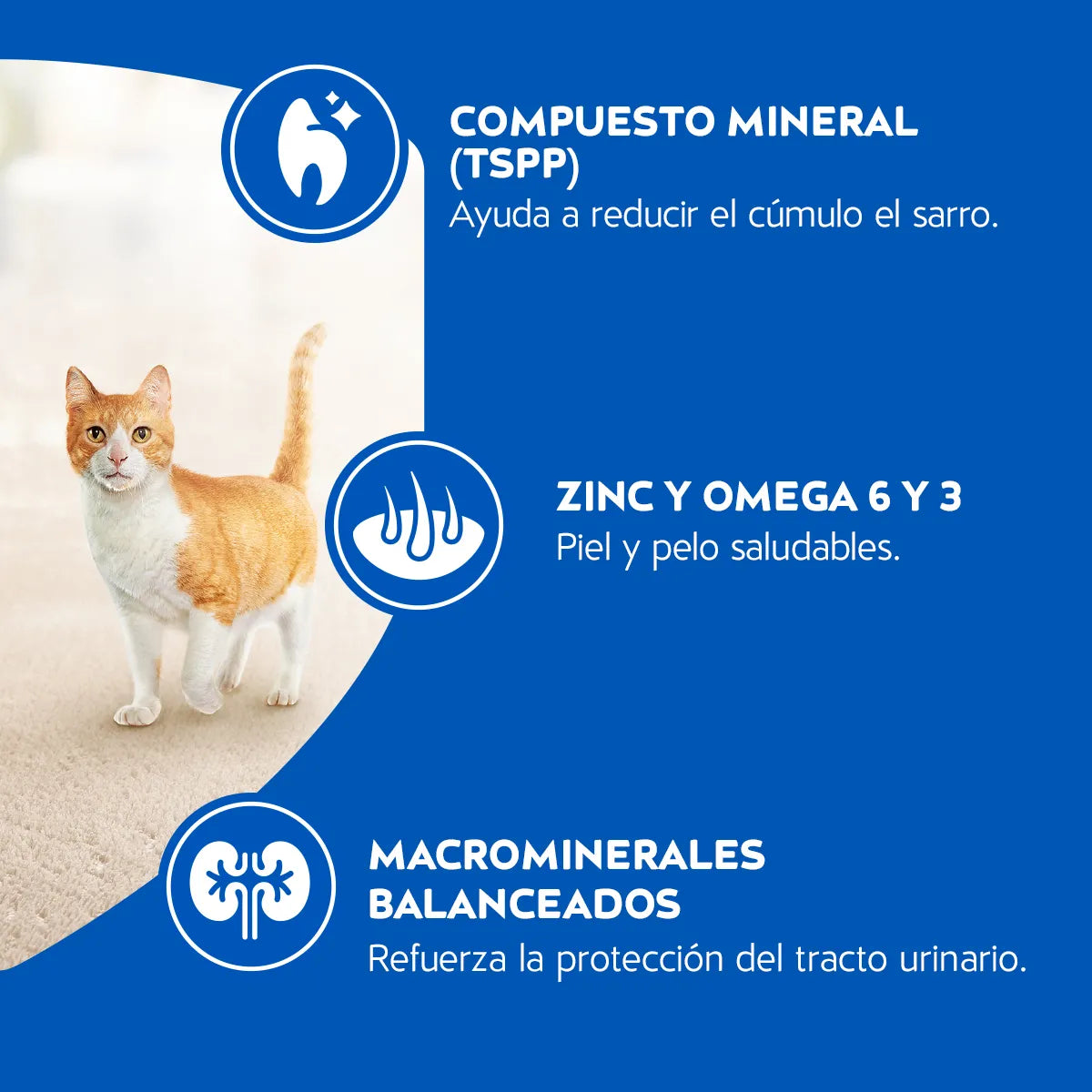 CAT CHOW® Adultos Delicias sabor Pescado Defense Plus