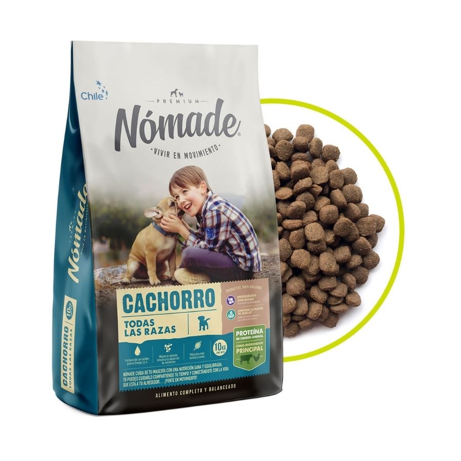 Nómade Cachorro