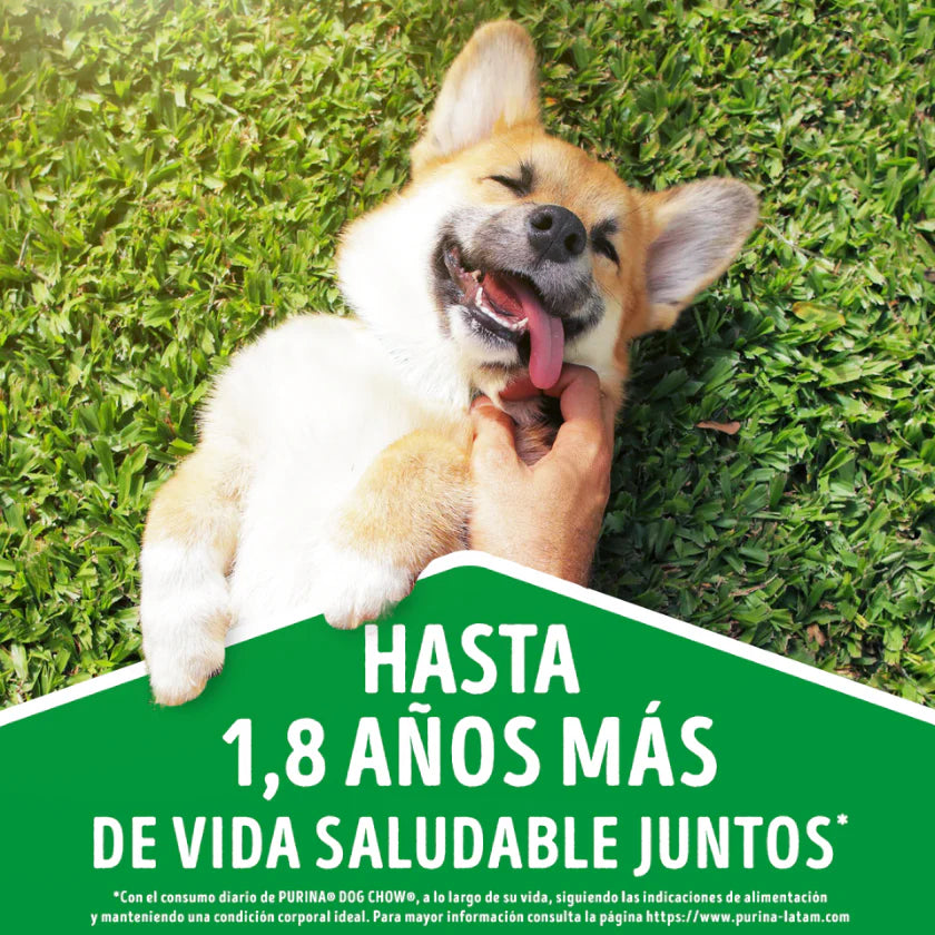 Purina Dog Chow Adultos Carne y Pollo