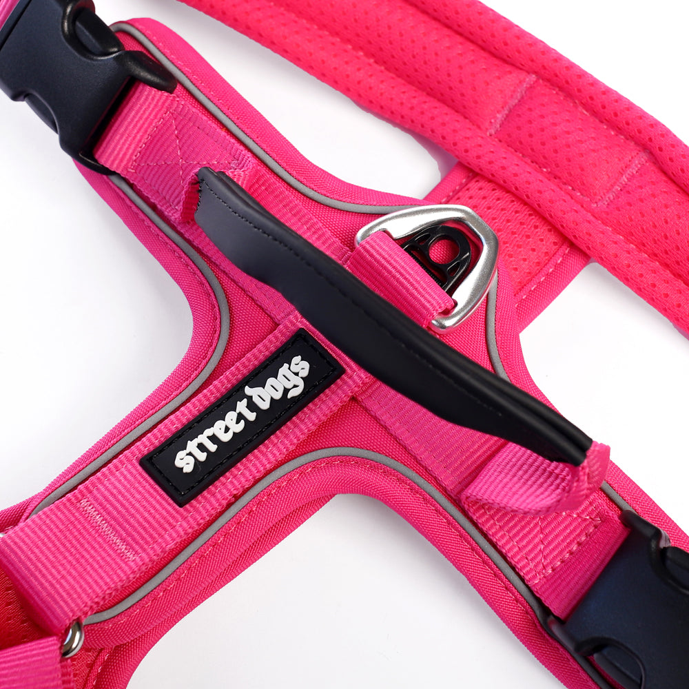 Arnés Aerosport Pink
