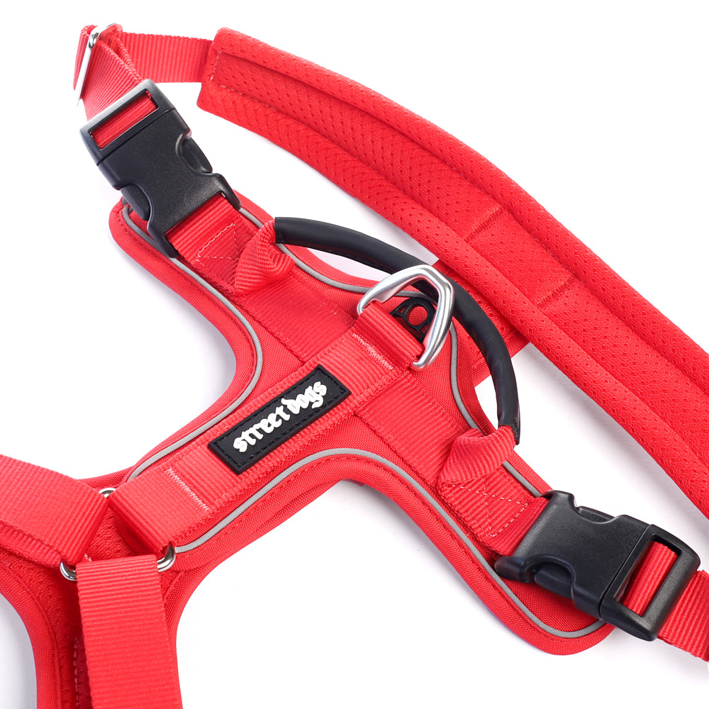 Arnés Aerosport Red