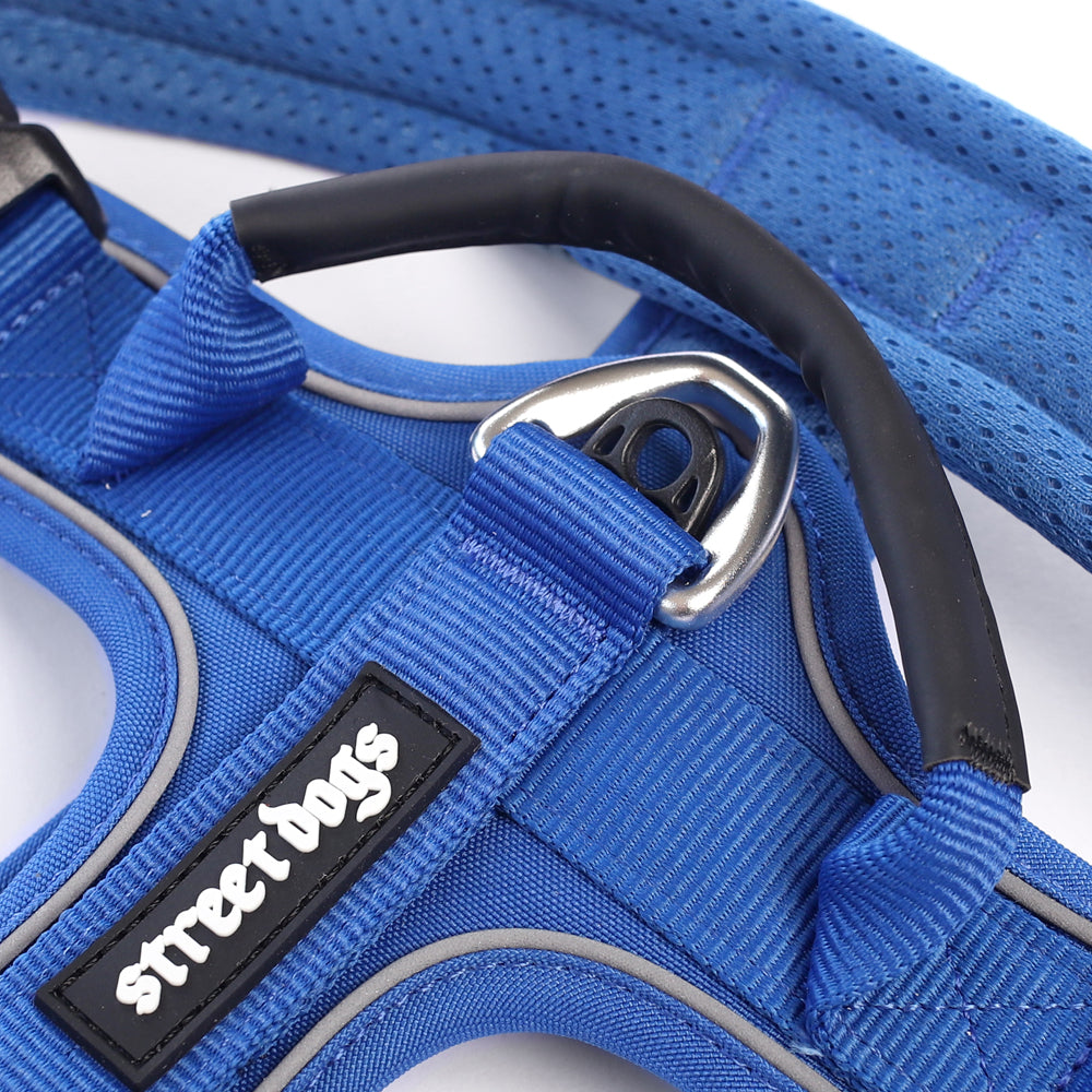 Arnés Aero Sport Blue