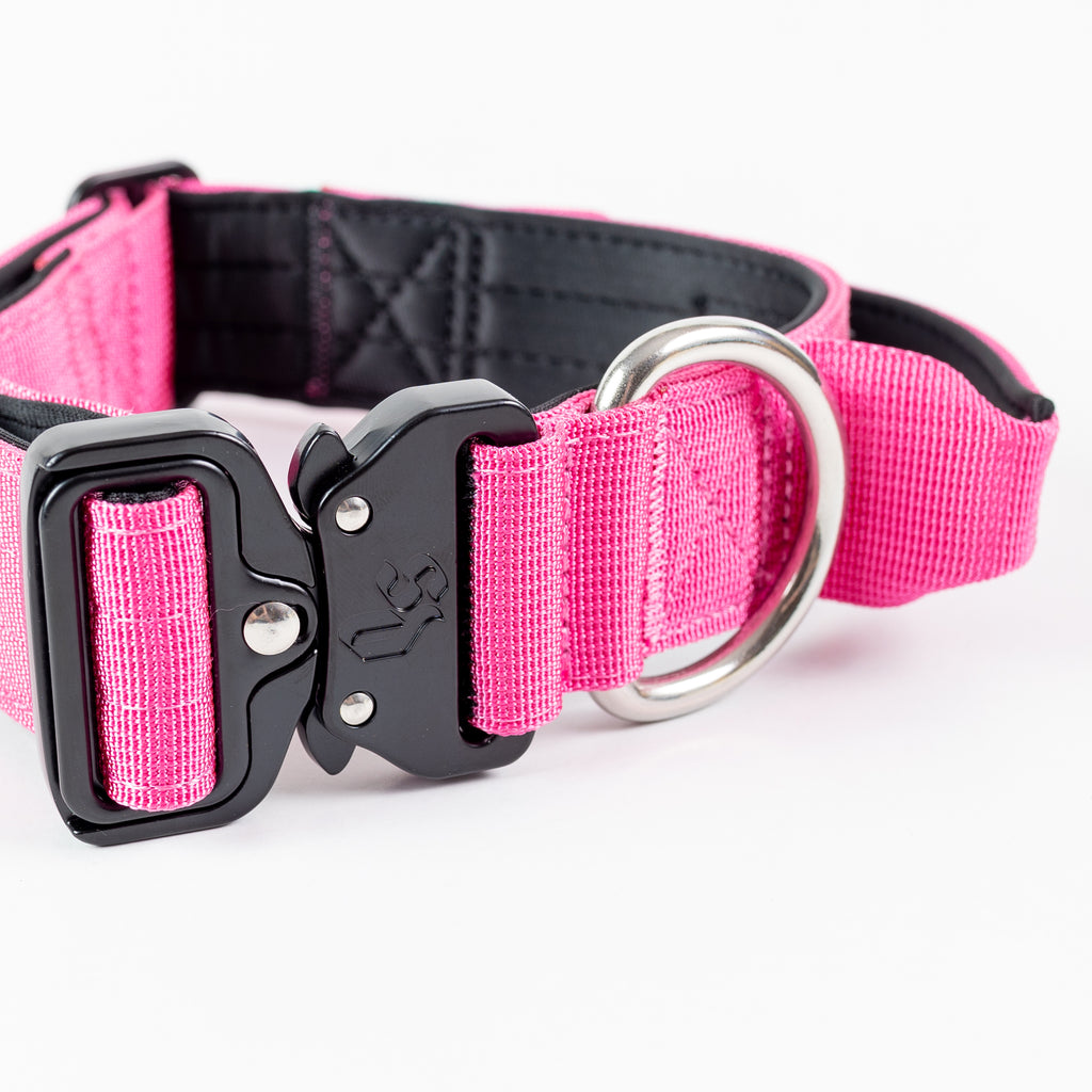 Collar Combat 4 cm para Perros - Street Dogs - Pink