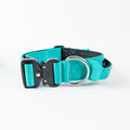 Collar Combat 4 cm para Perros - Street Dogs - Turquoise