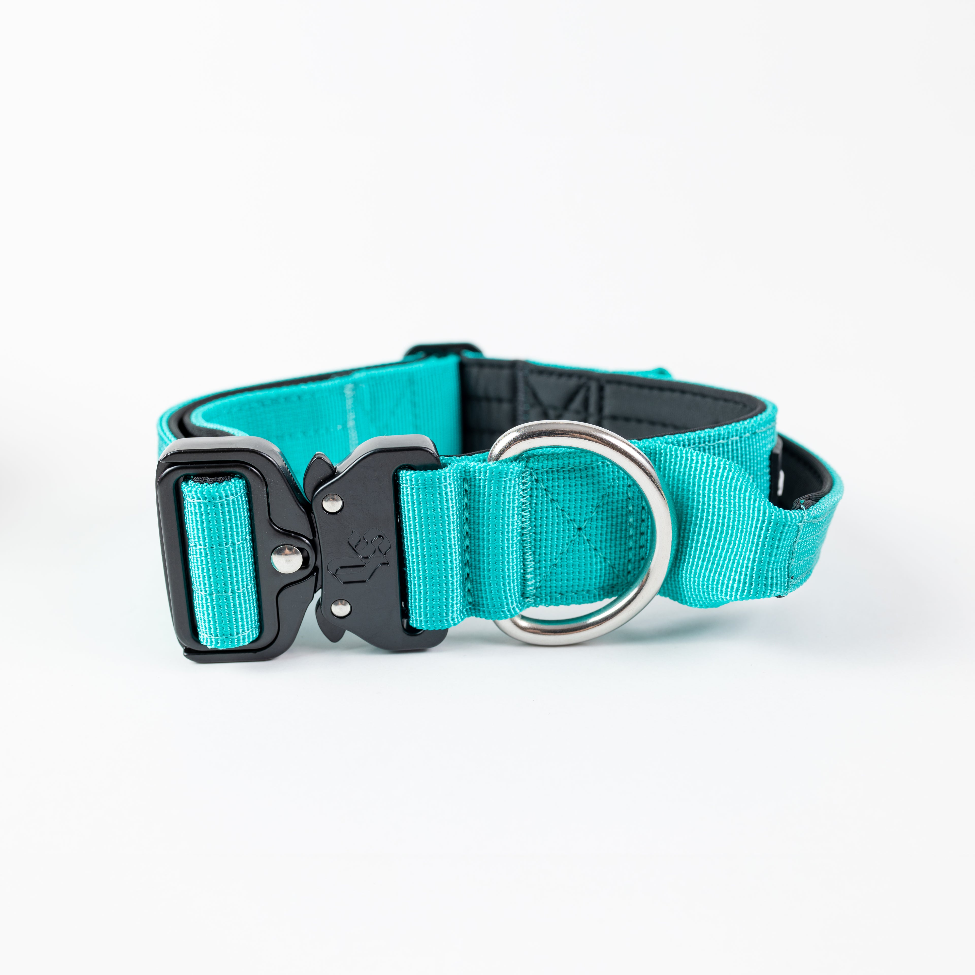 Collar Combat 4 cm para Perros - Street Dogs - Turquoise