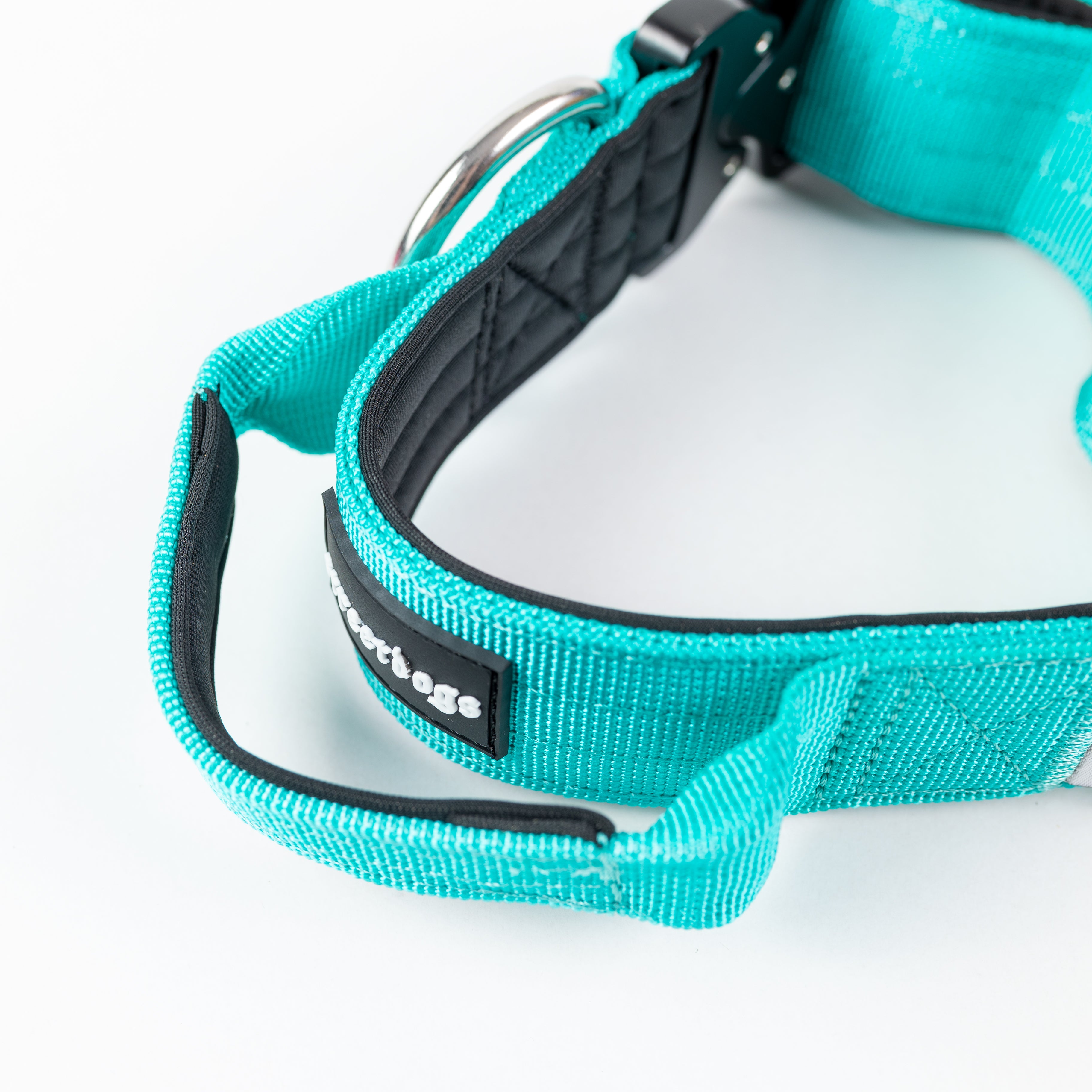 Collar Combat 4 cm para Perros - Street Dogs - Turquoise