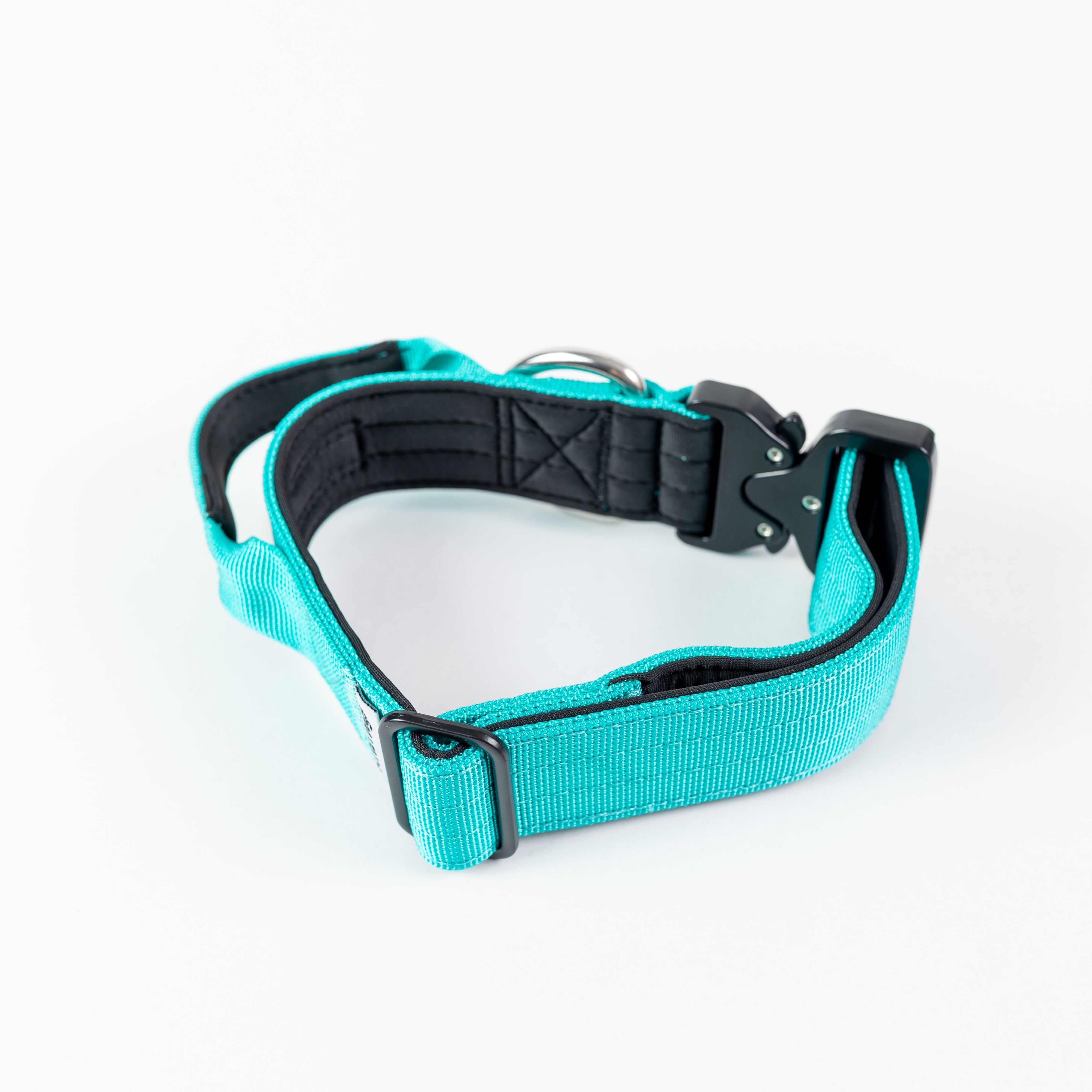 Collar Combat 4 cm para Perros - Street Dogs - Turquoise