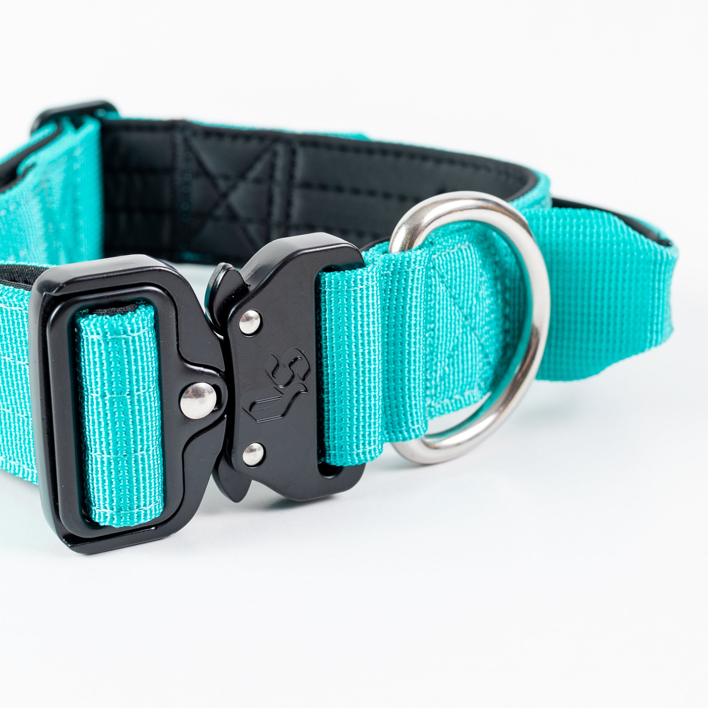 Collar Combat 4 cm para Perros - Street Dogs - Turquoise