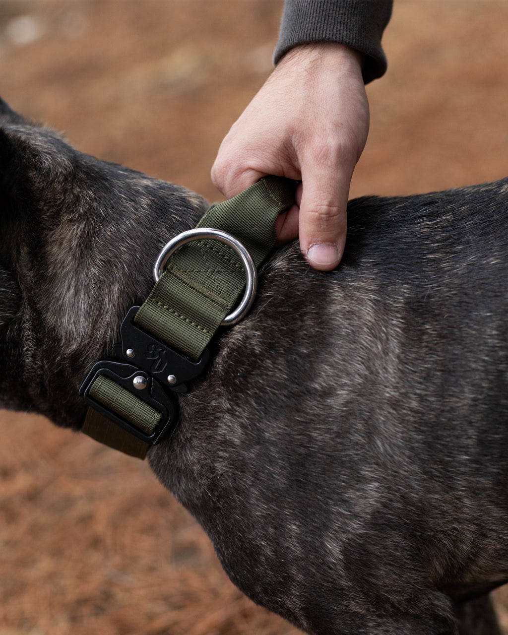 Collar Combat 4 cm para Perros - Street Dogs - Khaki