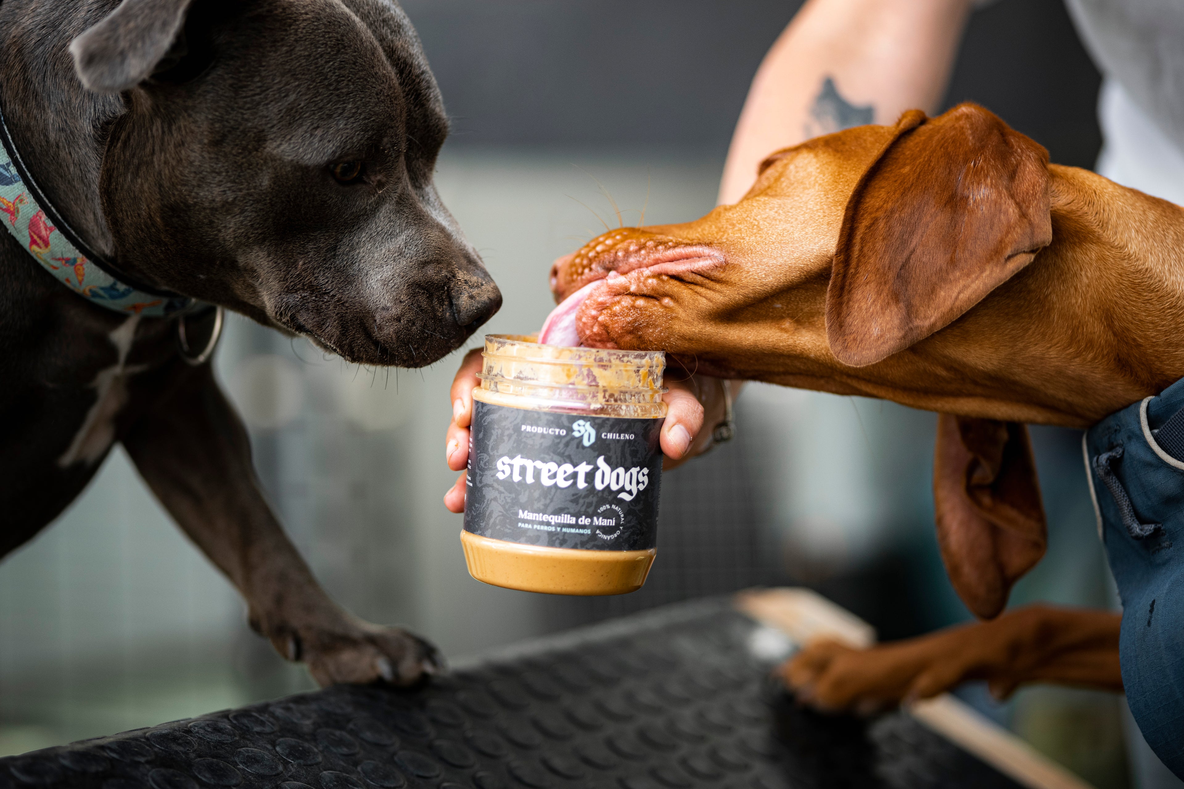 Mantequilla de Maní 500g