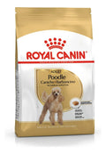 Royal Canin Poodle Caniche
