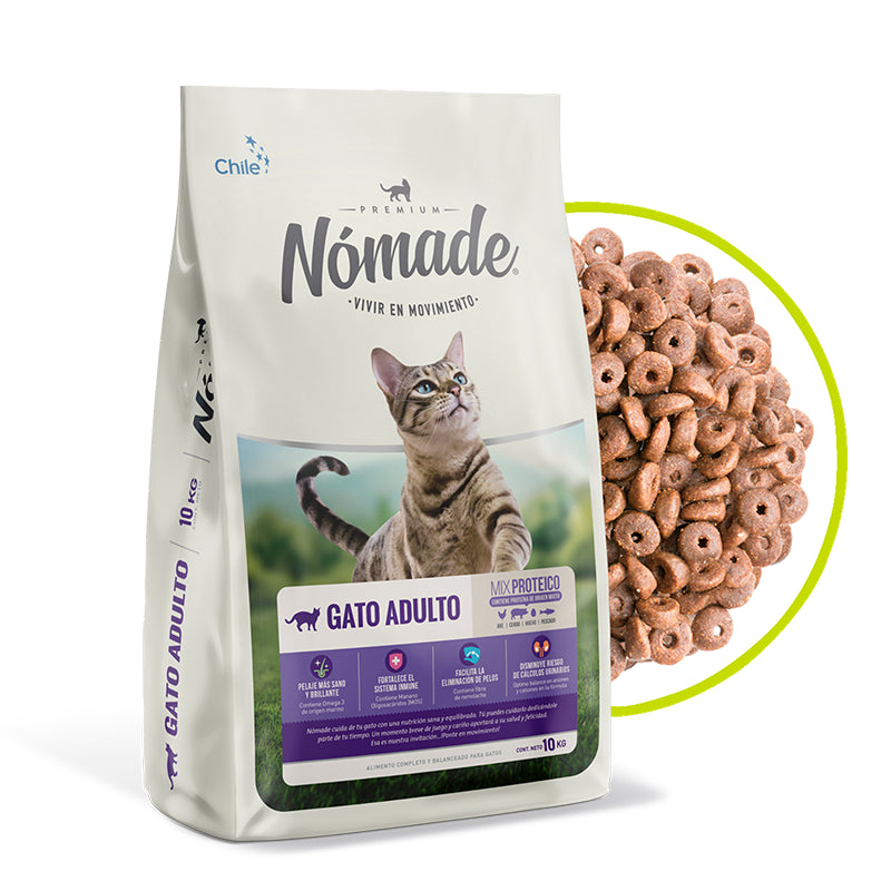 Nomade Gato Adulto