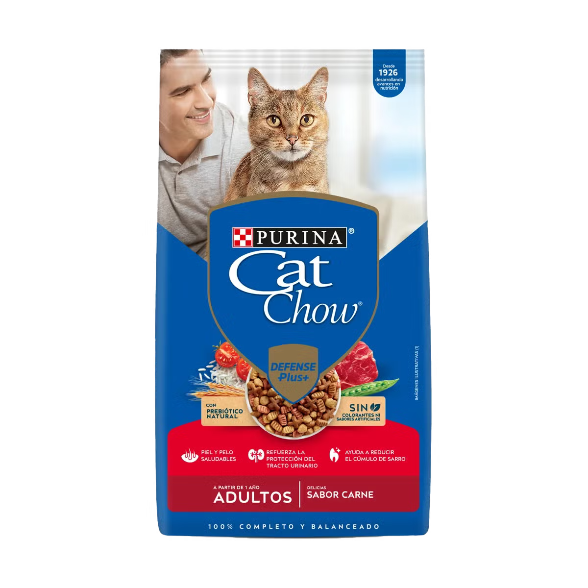 Cat Chow Activo (Carne)