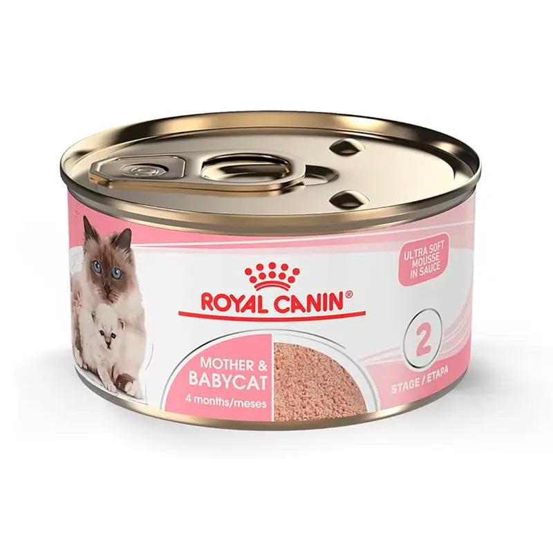 Royal Canin Mother & Babycat Gato Lata