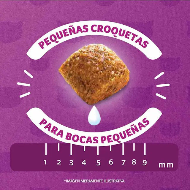 Whiskas - Alimento Seco Gatitos Sabor Carne y Leche