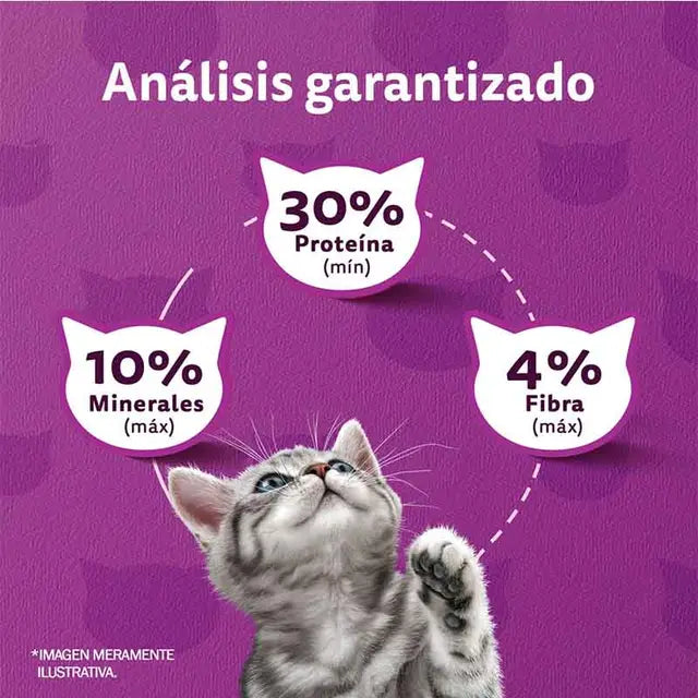 Whiskas - Alimento Seco Gatitos Sabor Carne y Leche