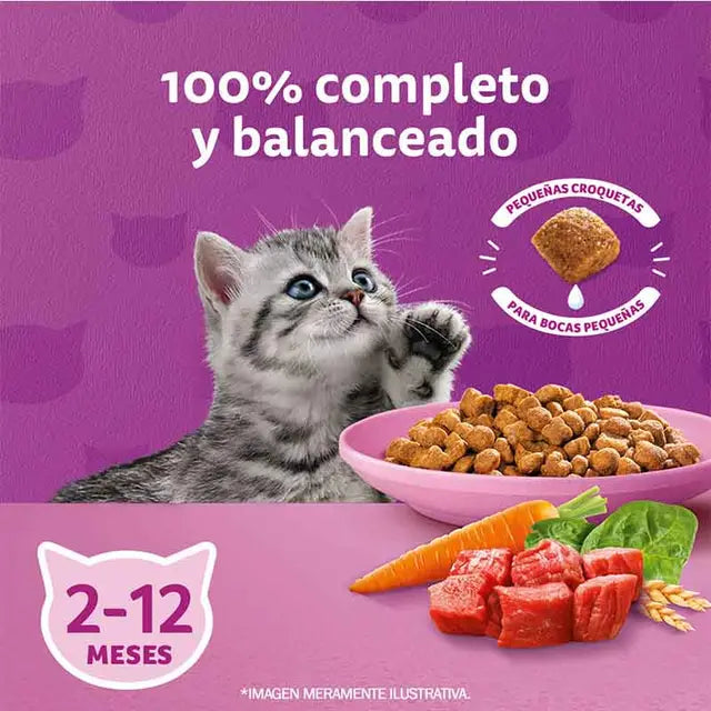 Whiskas - Alimento Seco Gatitos Sabor Carne y Leche