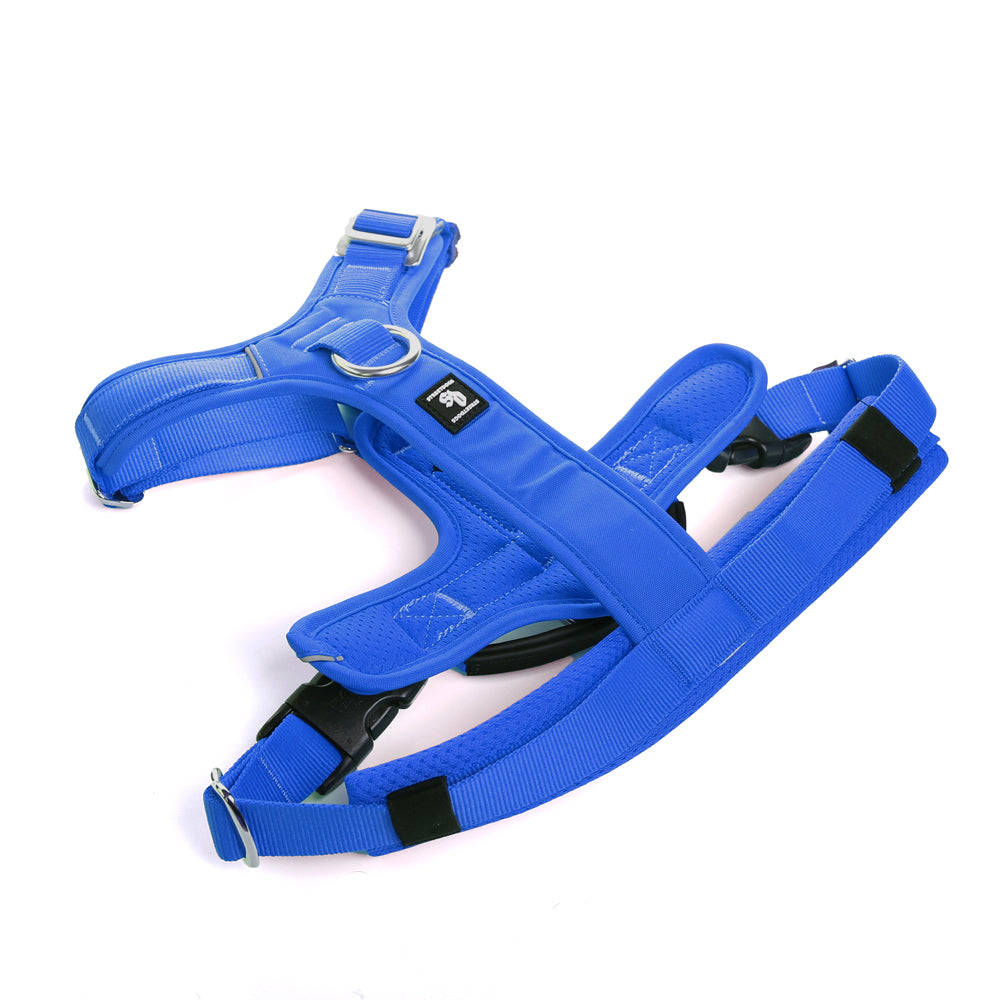 Arnés Aero Sport Blue