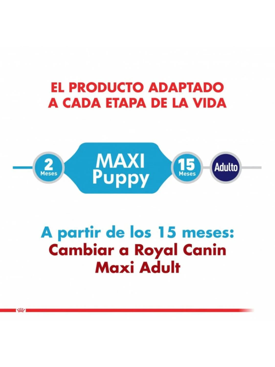 Royal Canin Maxi Puppy Cachorro Perro