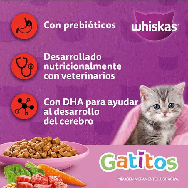Whiskas - Alimento Seco Gatitos Sabor Carne y Leche
