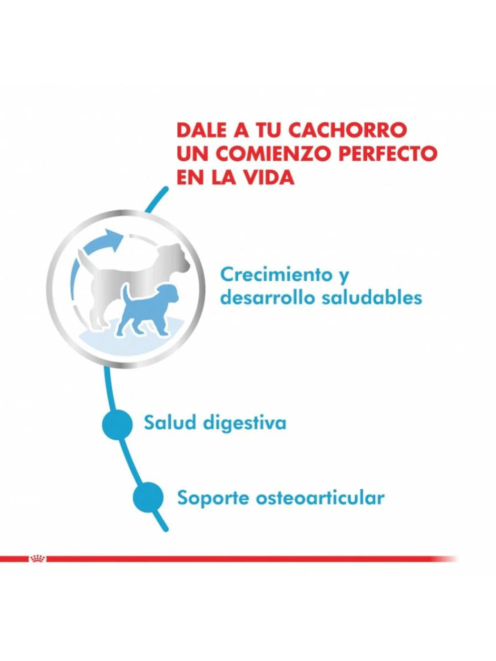 Royal Canin Maxi Puppy Cachorro Perro