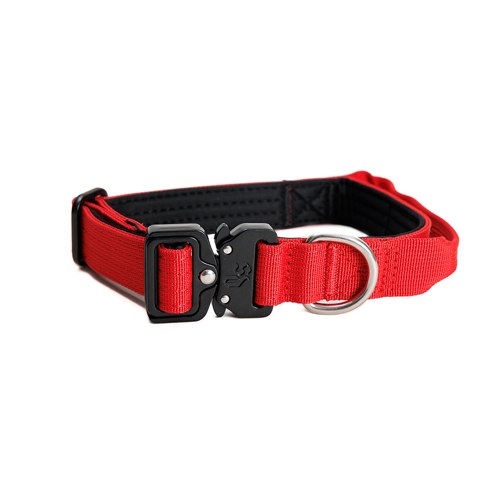Collar Combat 2.5 cm Red