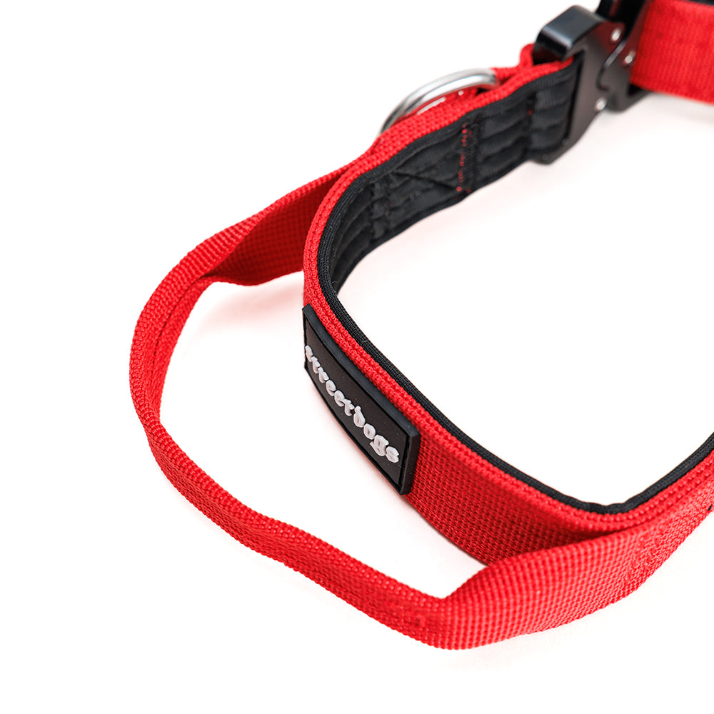 Collar Combat 2.5 cm Red