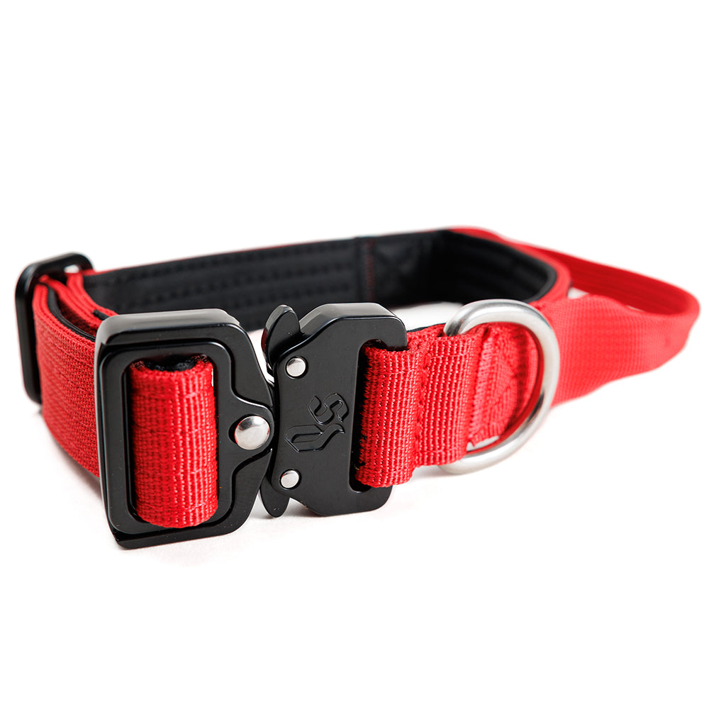 Collar Combat 2.5 cm Red