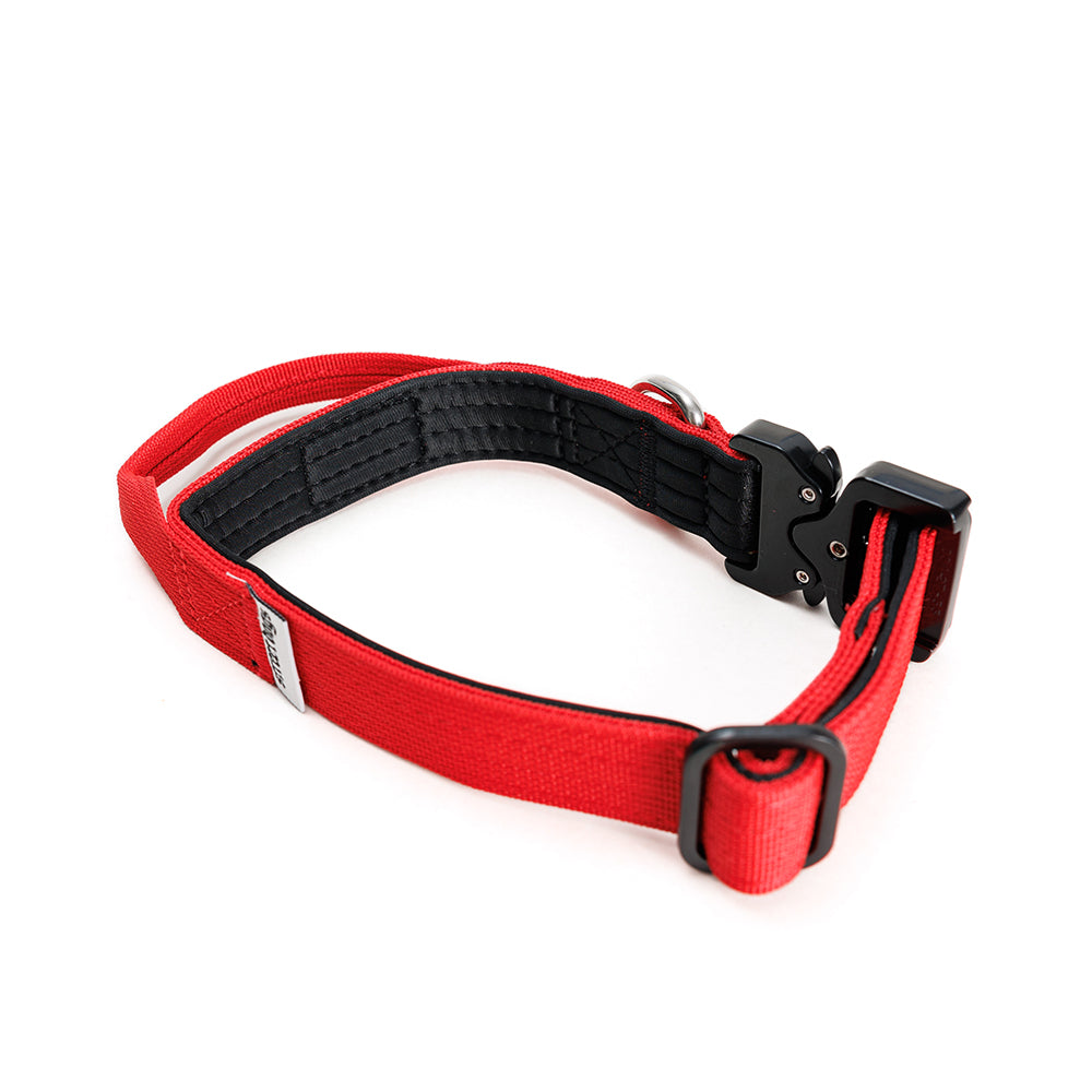 Collar Combat 2.5 cm Red