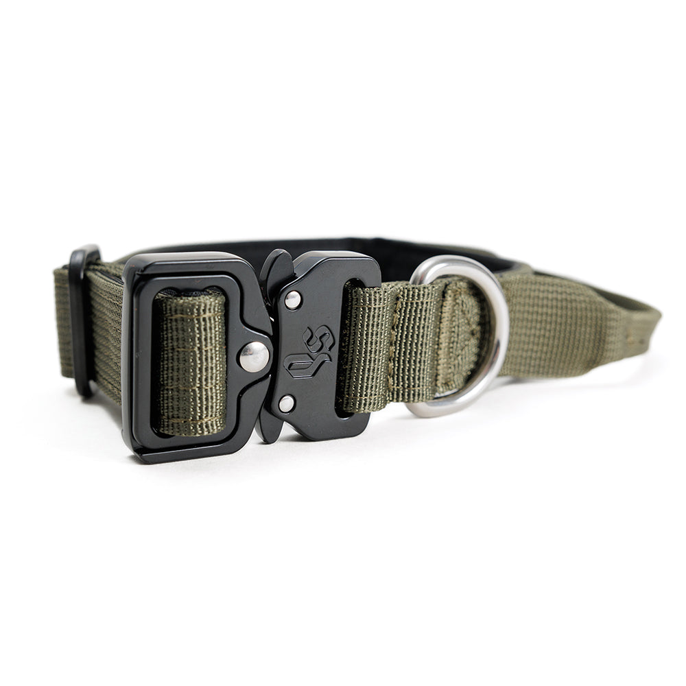 Collar Combat 2.5 cm Khaki