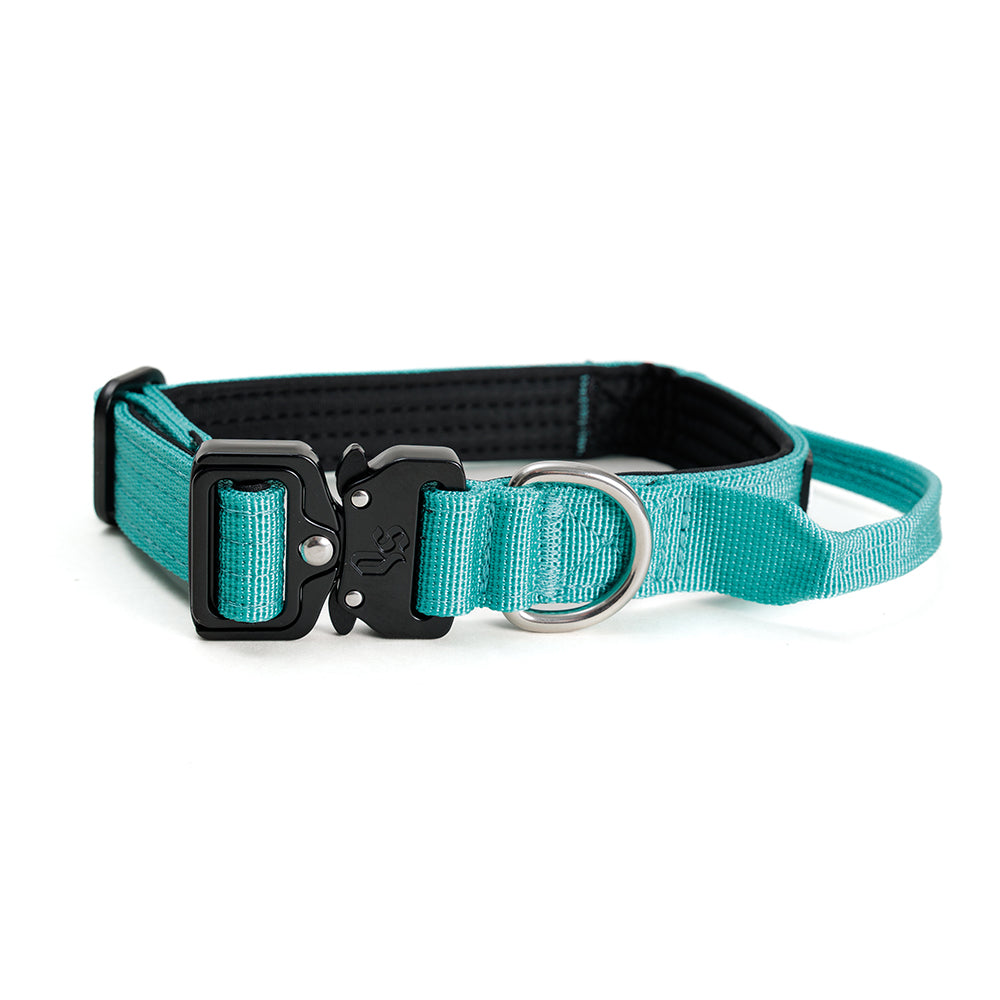 Collar Combat 2.5 cm Turquoise