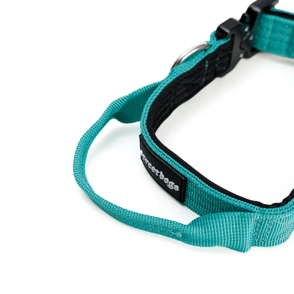 Collar Combat 2.5 cm Turquoise