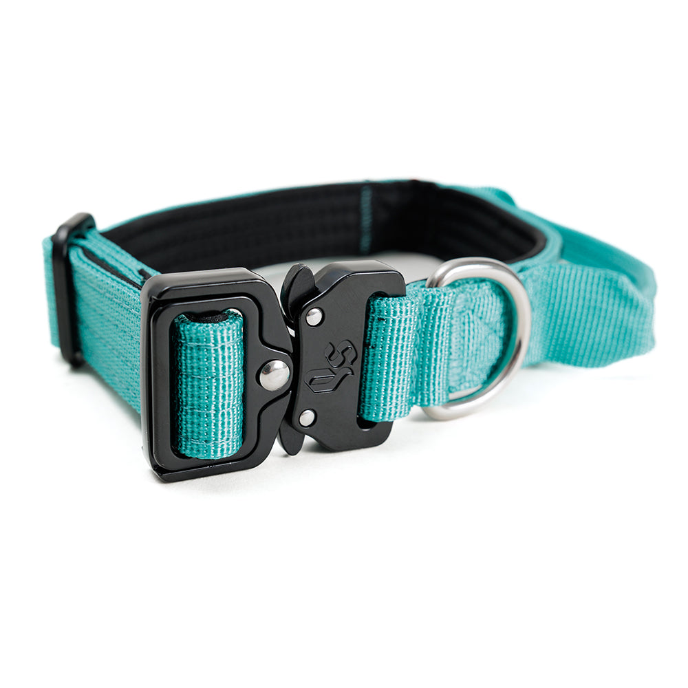 Collar Combat 2.5 cm Turquoise