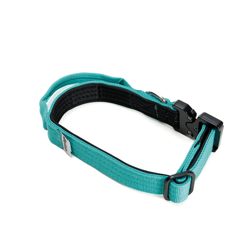 Collar Combat 2.5 cm Turquoise