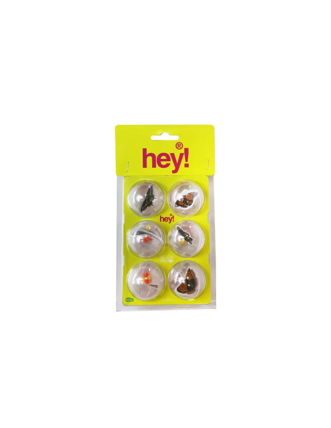 HEY! PELOTAS CON INSECTOS PACK 6 UNID