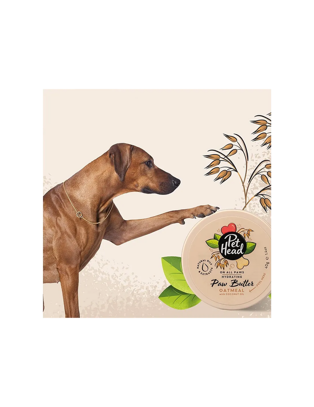 PET HEAD ON ALL PAWS MANTEQUILLA DE AVENA PARA PATAS 40 G